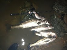 2x95u2vy3aw3ihs7gb9r-2ccb0b50.jpg