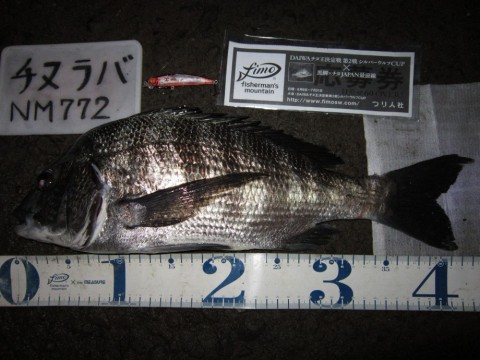2xbhhuuc3tumu8fwvehi_480_480-783316b0.jpg