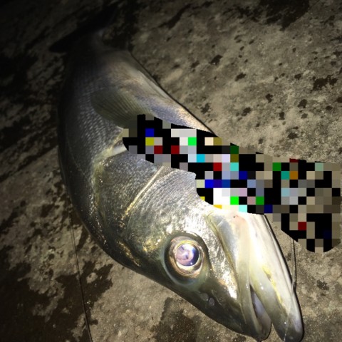 2xx3cfn5rxizkpxukom2_920_920-49867764.jpg