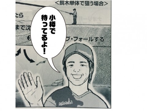 2yiwgorns5b8w6ycnhvf_480_480-f68bba32.jpg