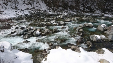 2ynn9r7e6j3s892iz2wx_480_480-13418459.jpg