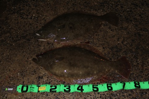 2yrzza9tp9entcfn9p94_480_480-5fb3960b.jpg