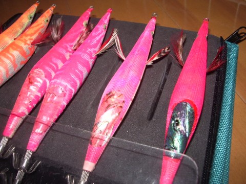 2yu8oisk66ev4xyuwck9_480_480-f6abab64.jpg