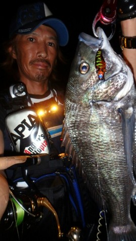 2zd53hpi2x87wfmzugx6_518_920-ad59d78c.jpg