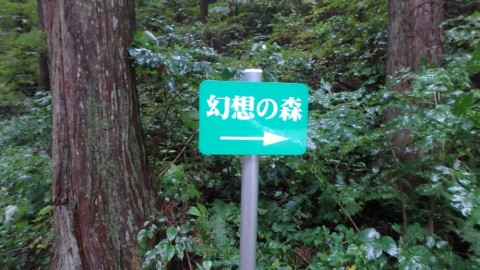 2zhmn69rehrfzc5tv7sz_920_518-bbb982fb.jpg