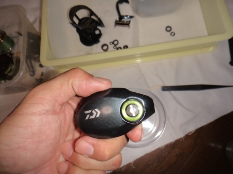 2zidw2ht3g9tx276fejc_480_480-7651f6fb.jpg