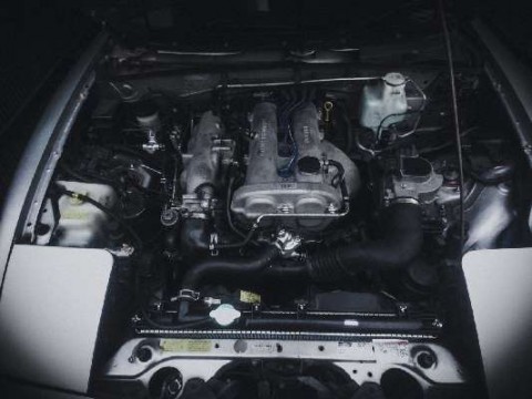 2zmgk3pxtyky3sg7afz6_480_480-6231f588.jpg