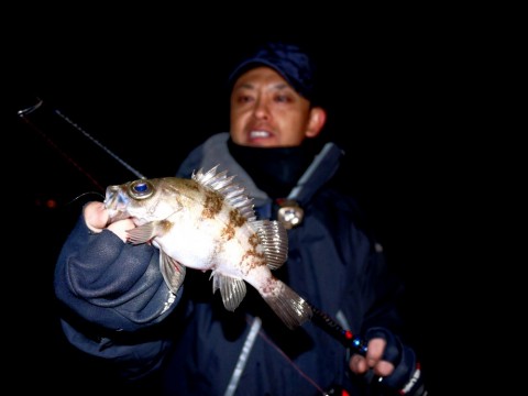 2znbexeo48t2v6dob4bt_480_480-6b9a9add.jpg