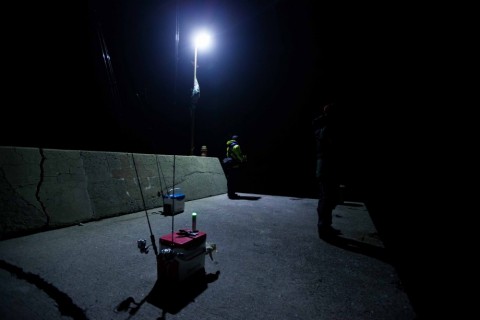 2zpcs74yncg9s3863pyv_480_480-a9c14e72.jpg