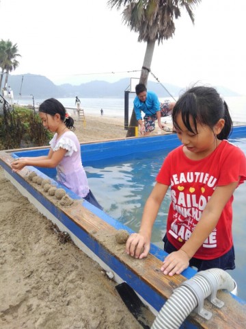 2zrc55d7srttfj5xe493_690_920-5d0315d7.jpg