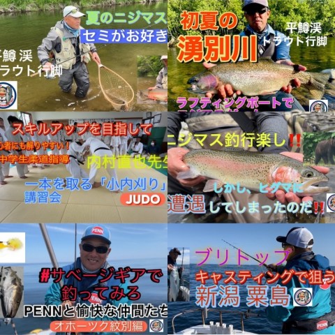 2zzpc4djeeorxd4v7vjj_480_480-0bb47316.jpg