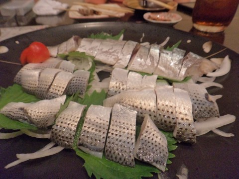 32327oz2egp7gixibuew_480_480-380e200e.jpg