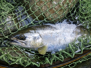 326bmav9hznfr75bv343-79cbc935.jpg