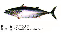 32io766jr33inu5ppgx8-fd332e50.jpg