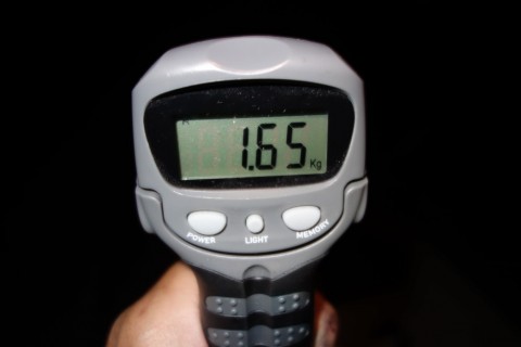 32r3vdi4n5i8pwtoi9oz_480_480-39e9f61a.jpg