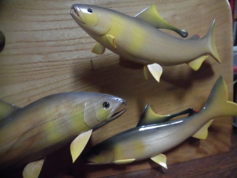 32upuki5fen4fvp774wj_480_480-6347f80c.jpg