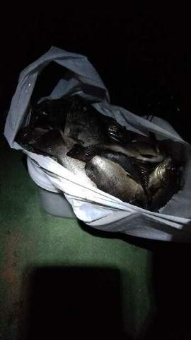 33dubr7k9edebi2vcc6x_480_480-e494eccc.jpg