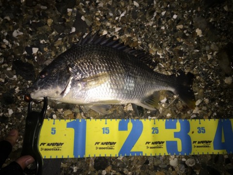 33g49jyokw2cay4p2ixr_480_480-cc082c08.jpg