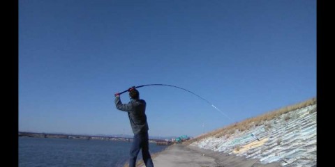 33isyouvpecw2j2d7t87_480_480-7866e7f1.jpg
