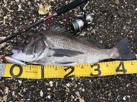 anglers be ambitious‼︎】 【インプレ】20ルビアスはバケモノリール 