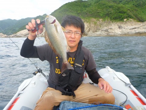 33kwy6nyofwpy3m76tb9_480_480-1b09cd18.jpg