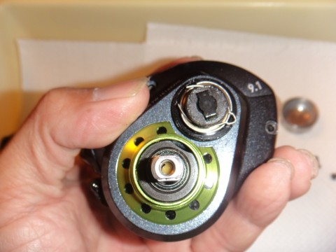 33t56ssyayemrf5vjpes_480_480-bf504d29.jpg
