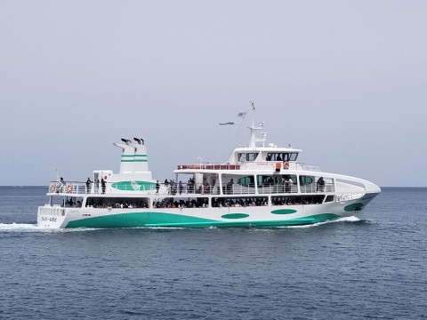 33uyhgvxp3spg2dk8uod_480_480-b2ad2d75.jpg