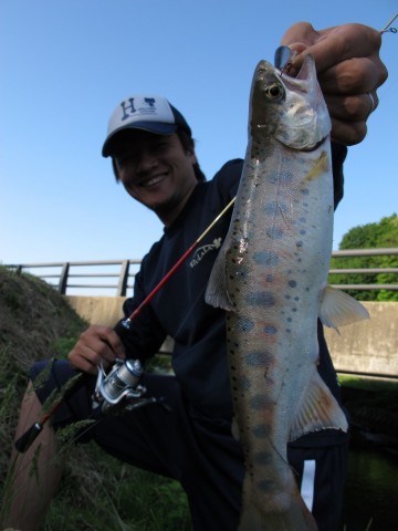 33yp4h4ybkrr6s969spt_480_480-21bd47f7.jpg