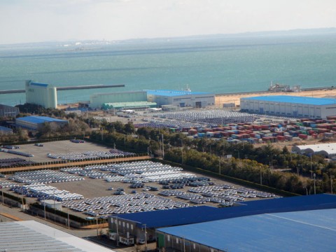33yyauew5vw2s7tmbwzo_480_480-59e90e60.jpg