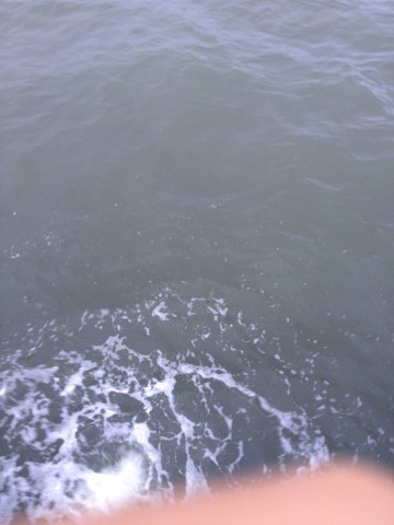 34hs89s2goxodpacu8px_480_480-4ac9d971.jpg
