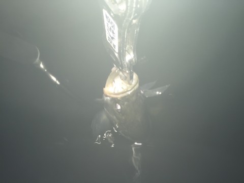 35afk2fyrfuvg38k89hy_920_690-06b16d72.jpg