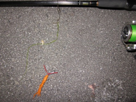 35frhhspgfbcdohxsoab_480_480-56294c94.jpg