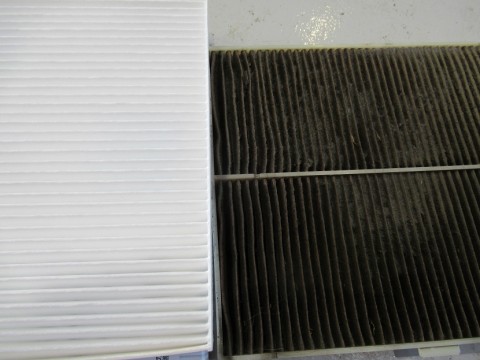 35sje2byd9jygzz65cpa_480_480-099916d5.jpg