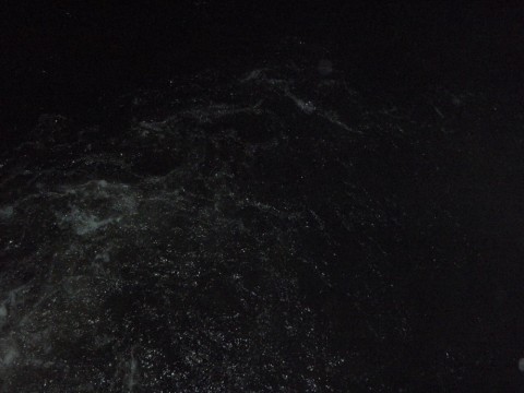 35y5vt4p562jkviwe3hw_480_480-fcf9dd00.jpg