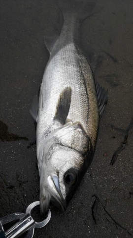 35yn628m99tbgucmh7bp_518_920-33069ab6.jpg