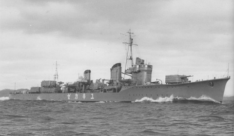 363fmoswoiysk5ijvwv3_480_480-2c4cce9f.jpg