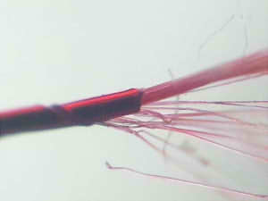 36amzx5ewvrmcgyj7jed-eb330173.jpg