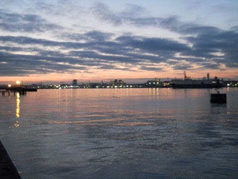 36hphjtm5ikiernwntbf_480_480-d62e6ec7.jpg