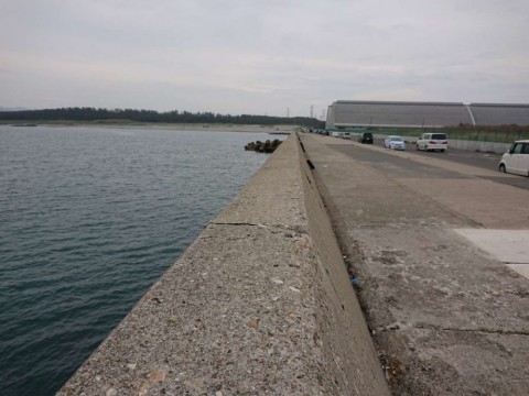 36j4j72gvnsxtcr74zyd_480_480-6710479c.jpg