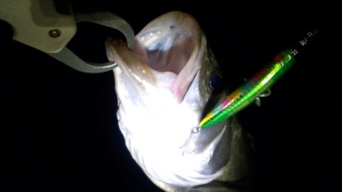 36jz78usfwfiu5djk25z_920_518-70b93279.jpg