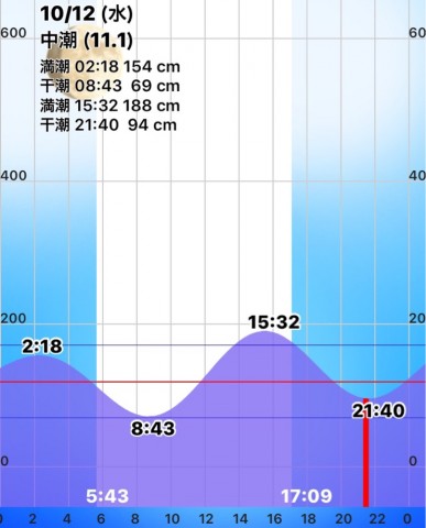 376morpg8r8tnxgdgfze_741_920-b3937bc6.jpg