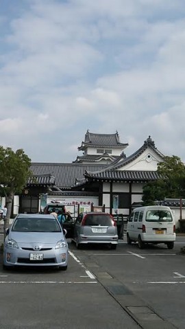376ueamo5cmupwkjwi4b_480_480-9a52ebcd.jpg