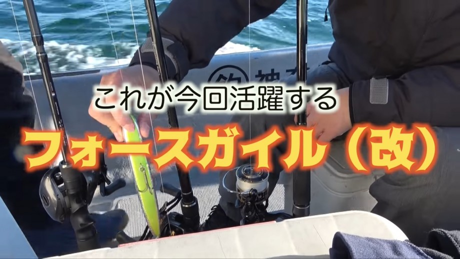 Compass Of Your Dream 東京湾でサメがトリプルヒット