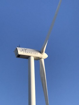 37hiiw6rnmai86rydjy7_361_480-33028da1.jpg
