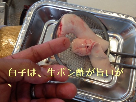 37of58g5j2u8v23dhir6_920_690-f52f7ee6.jpg