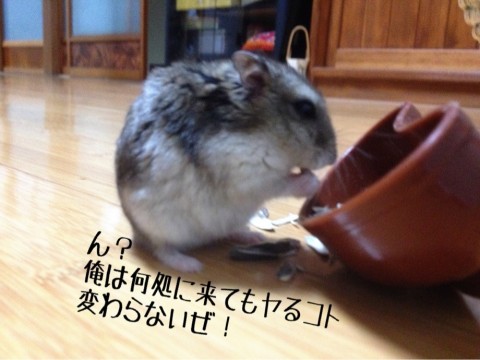 37p8hgpax8d7hyjtyekd_920_690-1bbef67b.jpg