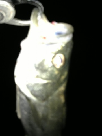 383s8ujrg7jdofhk7kkg_692_920-e05b2188.jpg