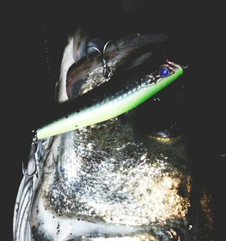 3849y9ux9taahs5uo4vj_863_920-f090e3f6.jpg