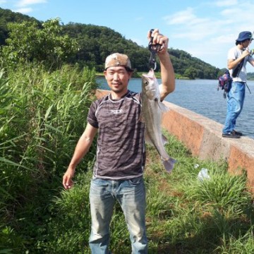 38jkpg6aax56riprkyoy_400_400-cb355580.jpg