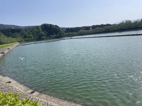38npopkxdfzdekksx5sm_480_361-ab5206f4.jpg
